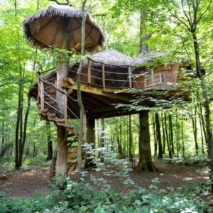 Robin des bois1