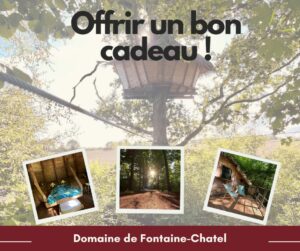 Lire la suite à propos de l’article Offrir un cadeau inoubliable