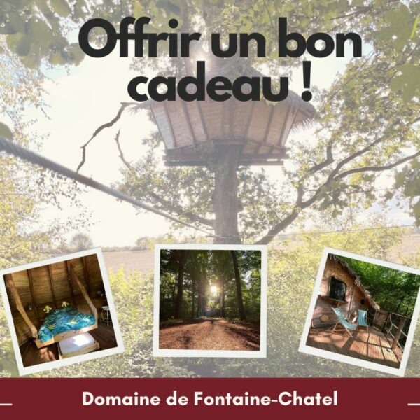 Offrir un cadeau inoubliable