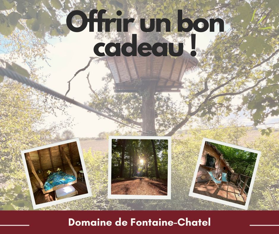 Lire la suite à propos de l’article Offrir un cadeau inoubliable