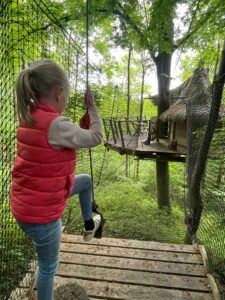 Lire la suite à propos de l’article Bonne Année 2026