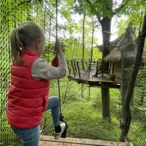 Lire la suite à propos de l’article Bonne Année 2026