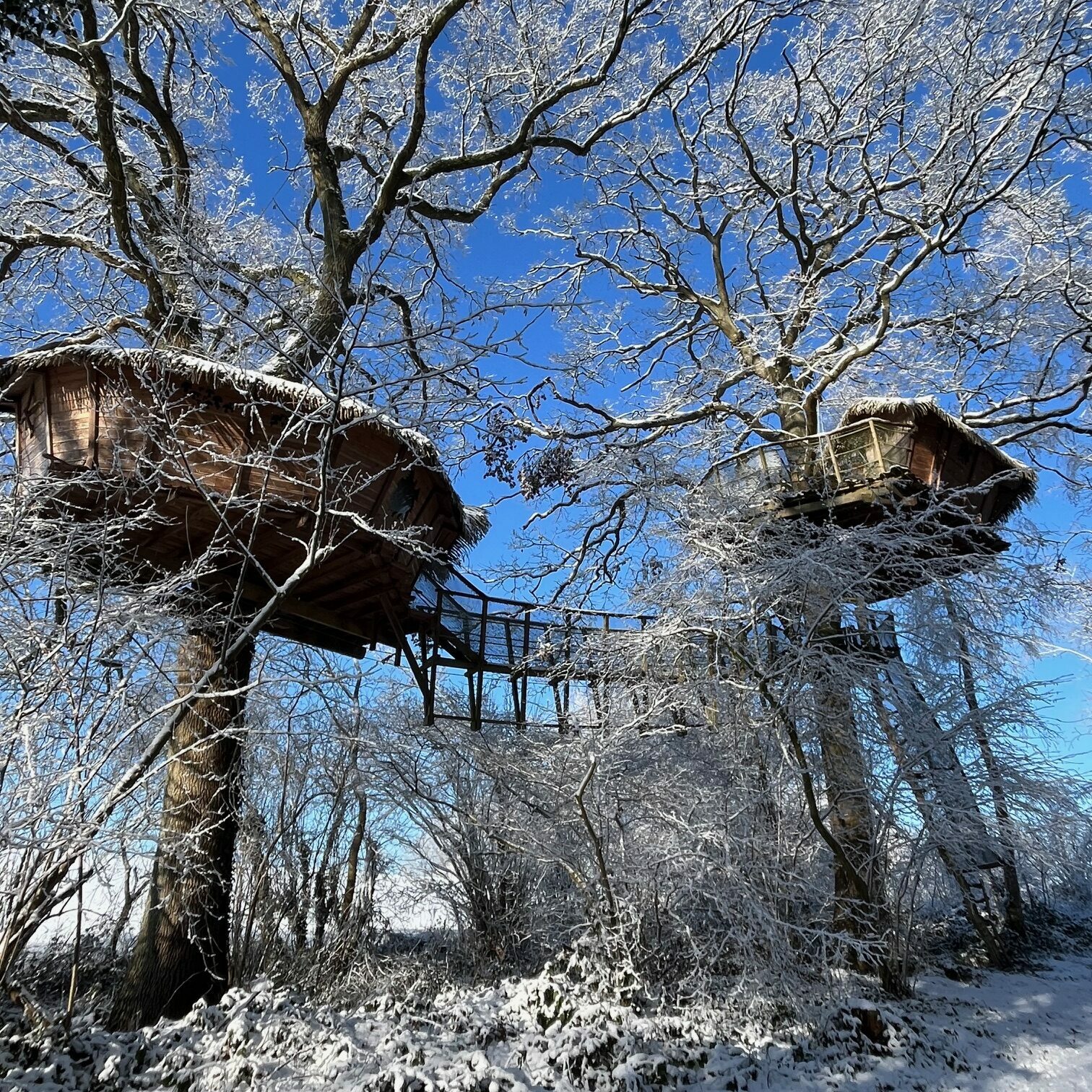 You are currently viewing La neige au Domaine