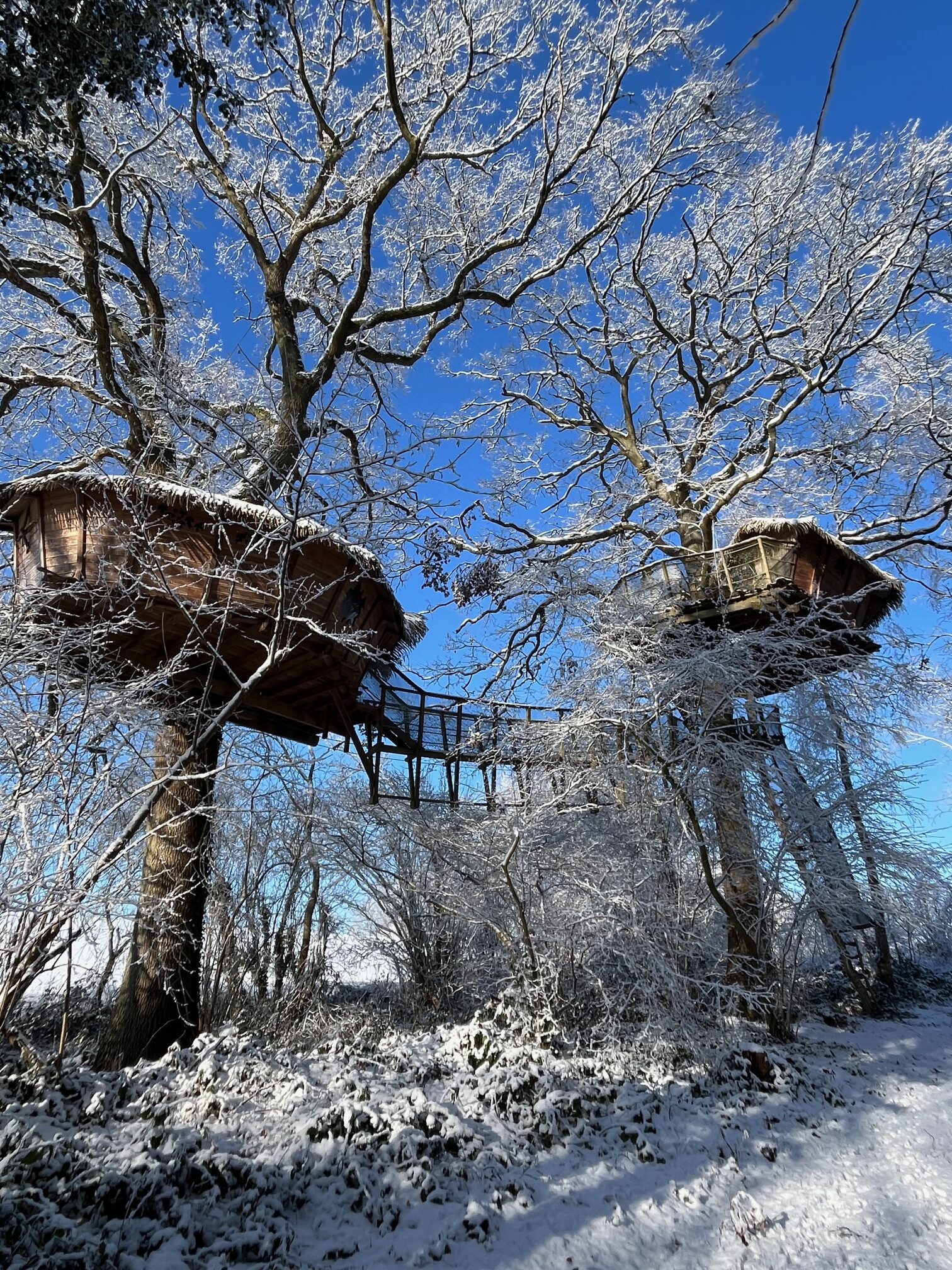 You are currently viewing La neige au Domaine