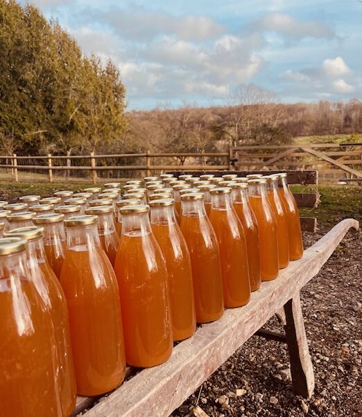 jus de pommes du Domaine
