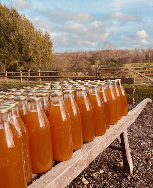 You are currently viewing jus de pommes du Domaine