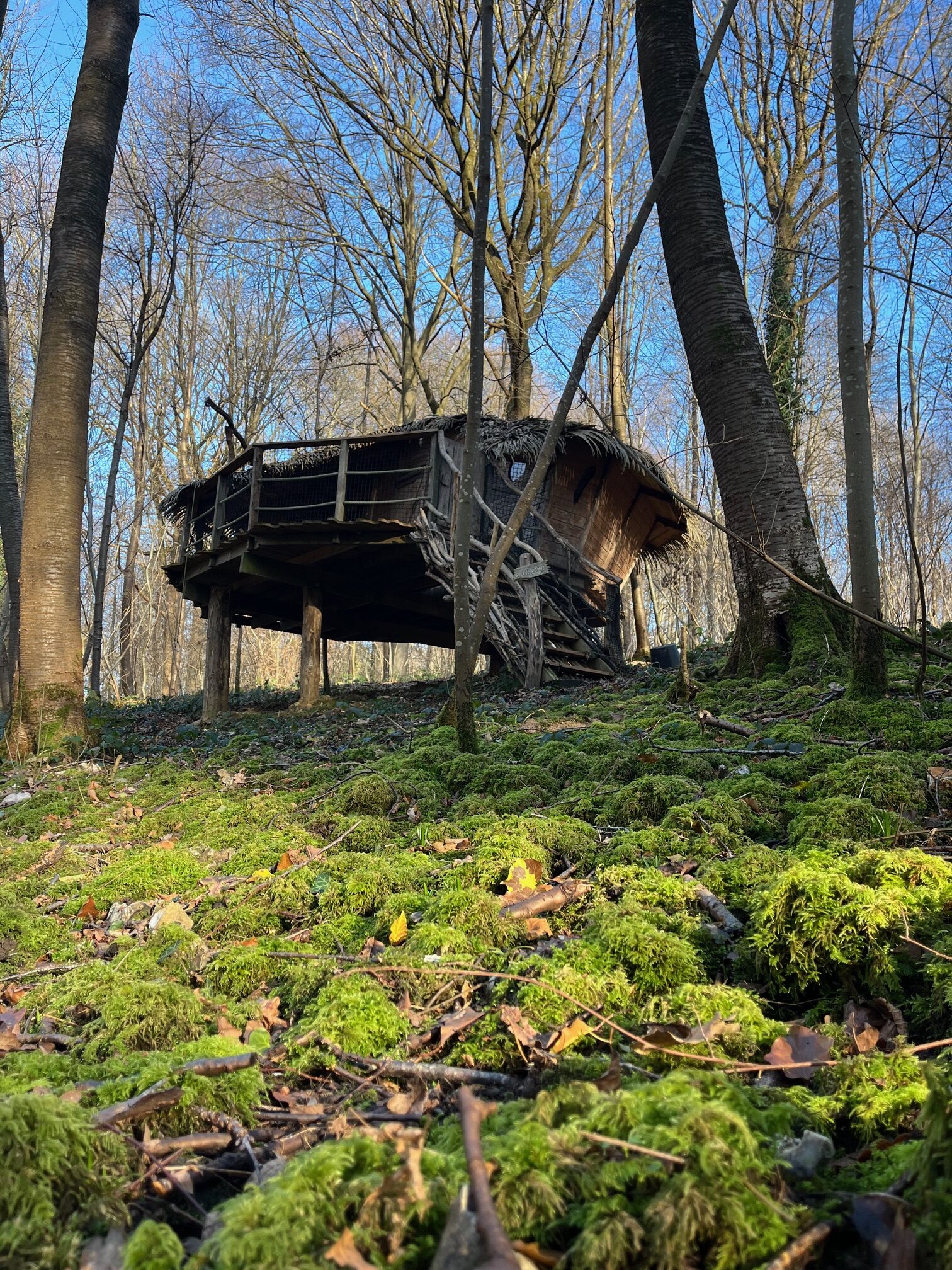 You are currently viewing Promotion vacances d&rsquo;hiver