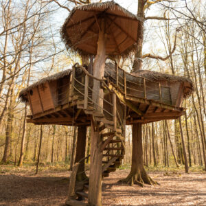 Robin des Bois extérieur OK