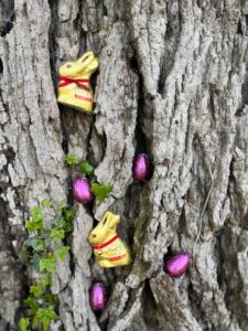 Lire la suite à propos de l’article Pâques se fête au Domaine de Fontaine Chatel