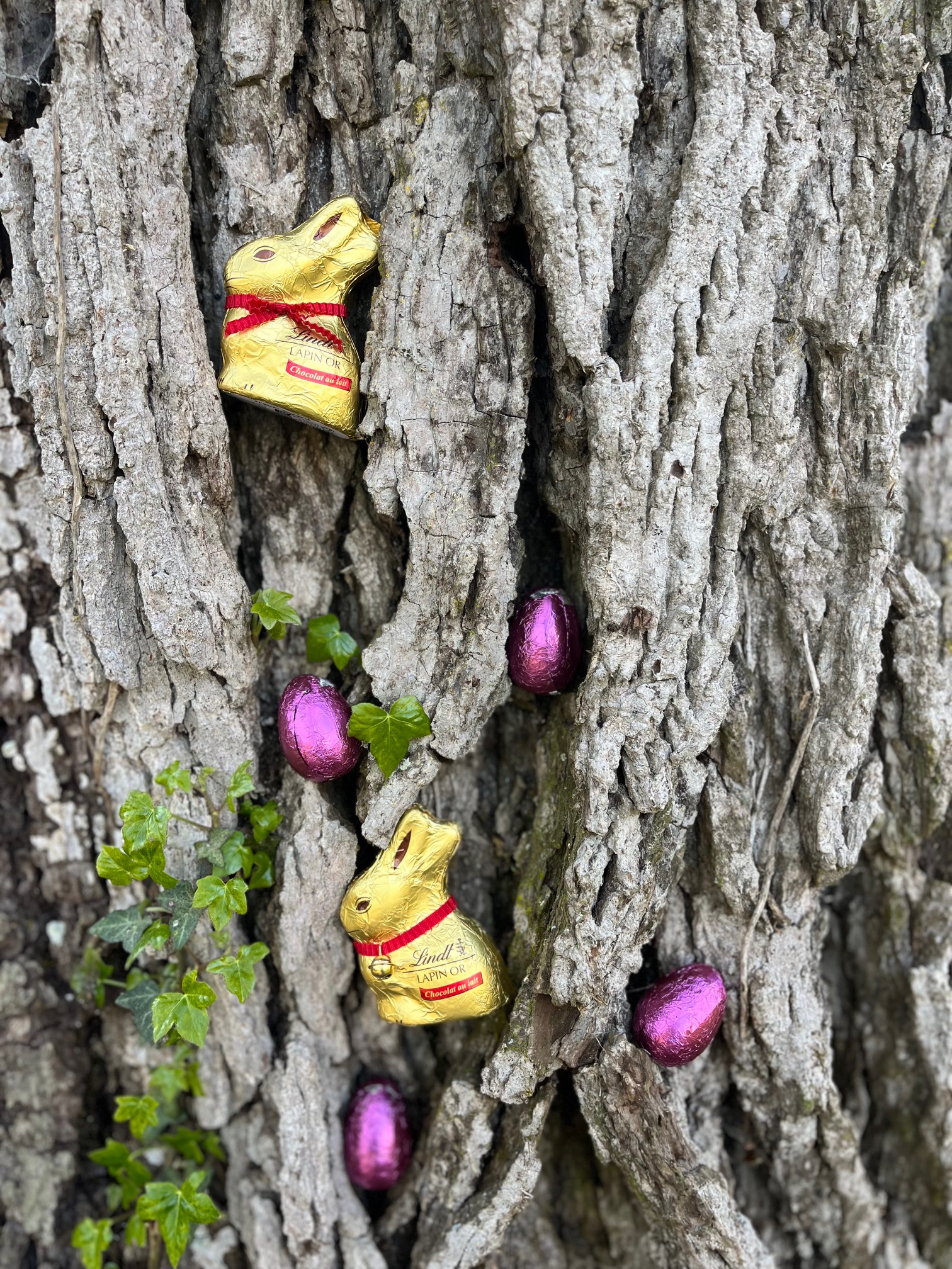 You are currently viewing Pâques se fête au Domaine de Fontaine Chatel